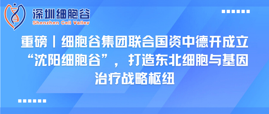 重磅｜k8com官网集团联合国资中德开创建“沈阳k8com官网”，打造东北细胞与基因治疗战略枢纽